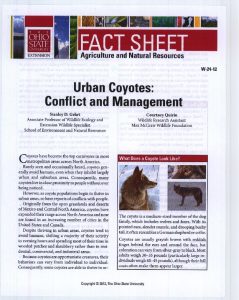 Icon of Urban Coyotes- Conflict And Management